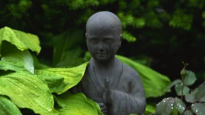 Ах, мудрость природы! Это бальзам для духа и образование для души