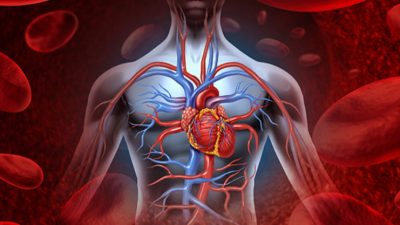 Фталаты из пластика связаны с сердечно-сосудистыми заболеваниями