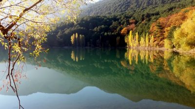 Изумрудная гладь озера в оправе золота ивы и тополей. Фото: Алла Богданова/ The Epoch Times