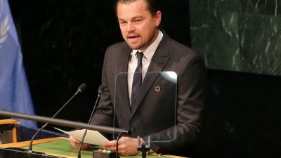 Эксперт: Голливудские звёзды не должны заниматься делами, в которых они мало смыслят