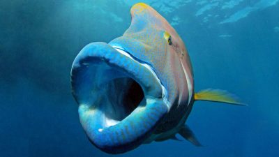 (Изображение: Caters News) 