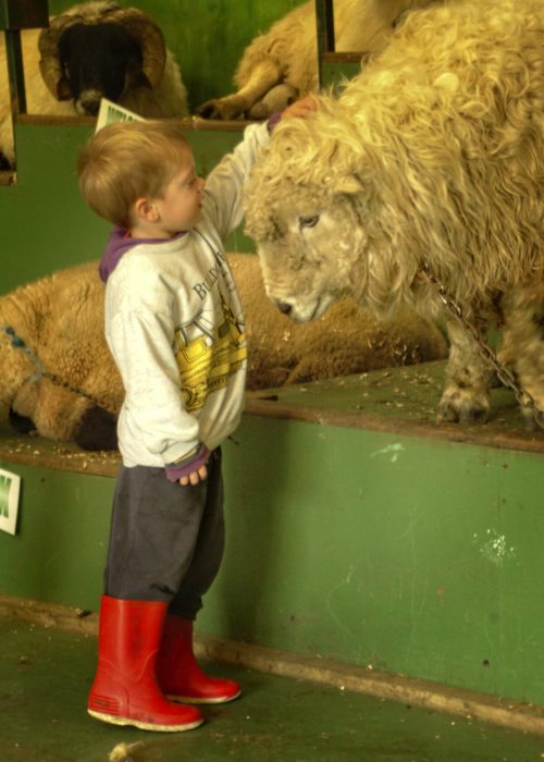 Северный Уэльс: туманный, но всегда восхитительный Северный Уэльс: туманный, но всегда восхитительный
