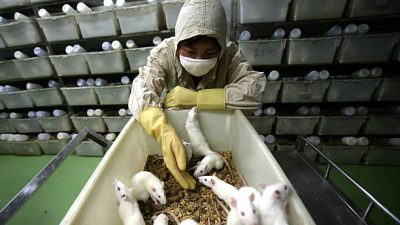 Укол от старости придумали в Японии