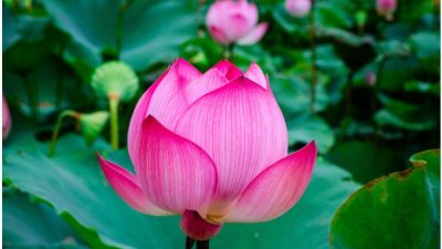 Добродетельные люди: четыре признака