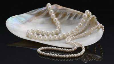 Как устрицы формируют идеальную симметричную жемчужину?