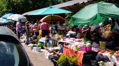 Переход к «зелёной» экономике вызовет в России рост цен