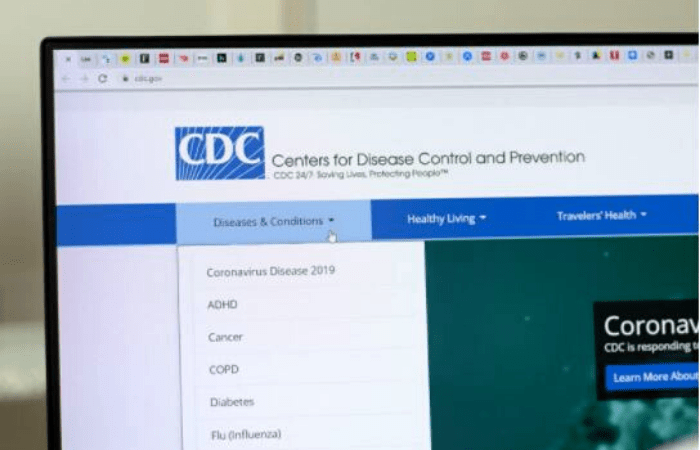 Фото: Postmodern Studio / Shutterstock.com | Epoch Times Россия