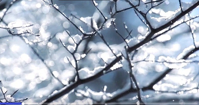 Скриншот / youmaker.com | Epoch Times Россия