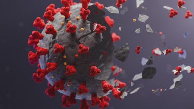 Помогут ли эти продукты в борьбе с COVID-19?