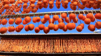 Терпеливое искусство сушки хурмы