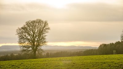 Классика дня: три скрипичных концерта Иоганна Себастьяна Баха