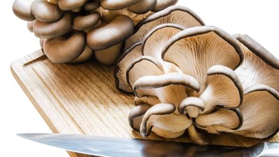 Почему следует добавлять вёшенки в пищу