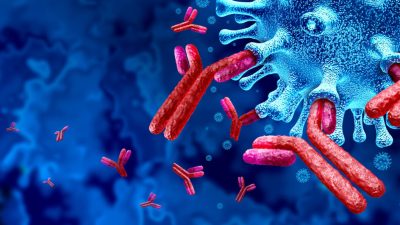 Что эффективнее защитит от COVID-19: естественный иммунитет или прививка?