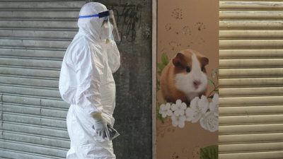 В Гонконге зоомагазины, торгующие хомячками, возобновляют работу