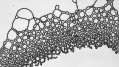 Квадратные капли и жидкие решётки