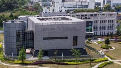 Лабораторное происхождение вируса? Исследование профессора Визендангера