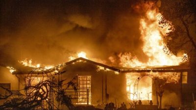 Эксперты: Лесные пожары — результат неправильного ведения лесных хозяйств, а не глобального потепления