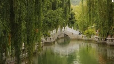 Перевоплотиться в животное, чтобы расплатиться с кармическими долгами