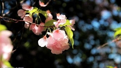 Непознанный мир: любовь из прошлой жизни