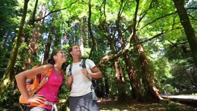 Гибкость способствует движению вперёд