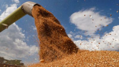 Конфликт в Украине приведёт к росту цен на продукты питания во всём мире