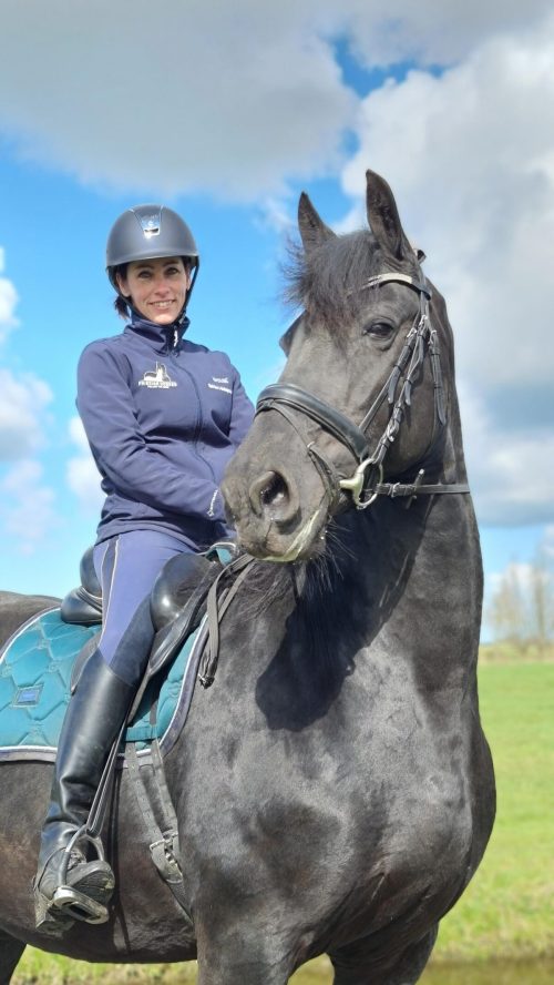 Беременная кобыла, убитая горем после мертворождения, объединилась с жеребёнком-сиротой — её реакция бесценна