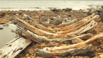 Остров потерянных