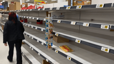 ФАС начала антикартельные проверки крупнейших производителей сахара в РФ