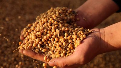 Российско-украинский конфликт укрепляет экономическую мощь Китая