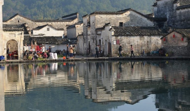 Собака отплатила торговцу, который спас ей жизнь pixabay.com/ru/License pixabay
| Epoch Times Россия