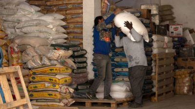 РФ ограничивает экспорт основных продуктов питания