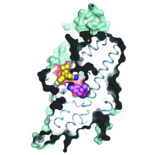 Вся правда о депрессии