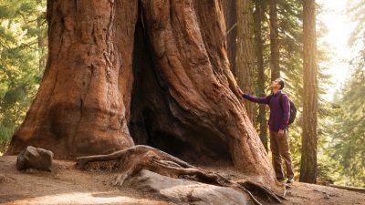 Символ силы