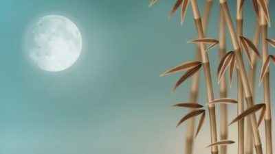 Четыре ограничения, которые удерживают нас от катастрофы