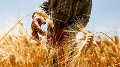 Фермеры не успевают за растущим спросом на продукты питания
