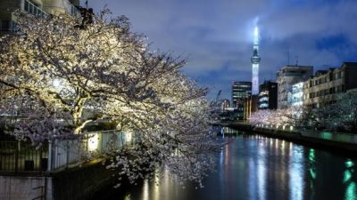 Япония ввела очередные санкции против России за нарушение санкционного режима