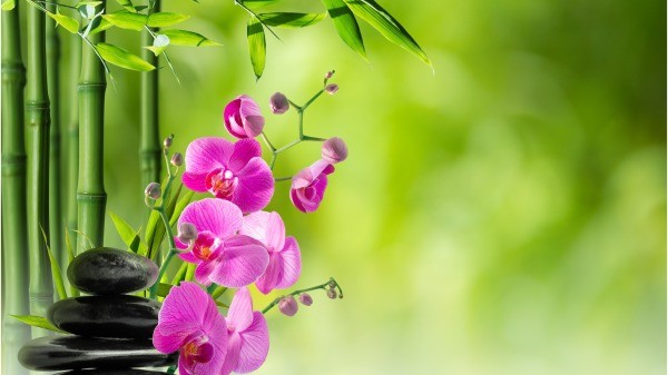 Когда вода глубока, ветер стихает и волны спокойны; когда люди ценны, они нежны и мягки. Фото: Adobe stock | Epoch Times Россия