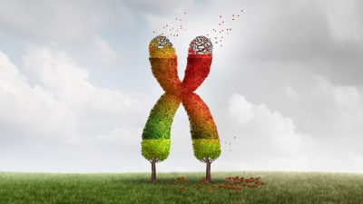 Лауреат Нобелевской премии: 5 вещей, которые ускоряют старение, и 1 секрет борьбы против старения