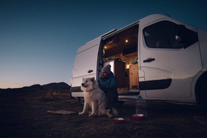 Бесстрашные приключения пушистого щенка и его хозяина на параплане стали вирусными