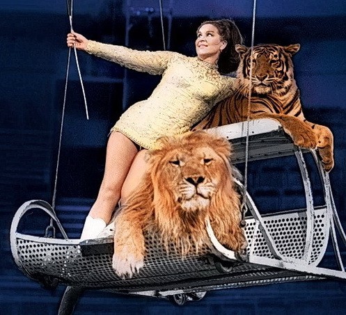 Маргарита Назарова на арене с хищниками