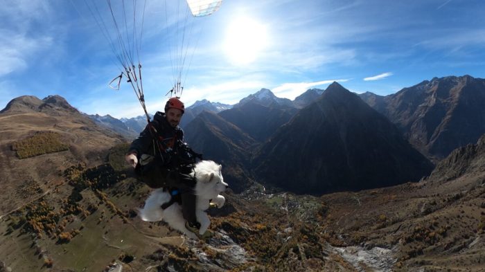 Бесстрашные приключения пушистого щенка и его хозяина на параплане стали вирусными
