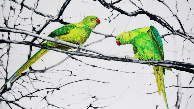 «Попугаи Гайд-парка», 2021 год, Сюзанна Вейланд. Карандашный рисунок, нанесённый на хлопчатобумажно-шёлковую ткань и вышитый вручную матовыми, шёлковыми и металлическими тонкими нитями для машинной вышивки. Размер рамки: 18,1 дюйма на 13,4 дюйма. (Сюзанна Вейланд) | Epoch Times Россия