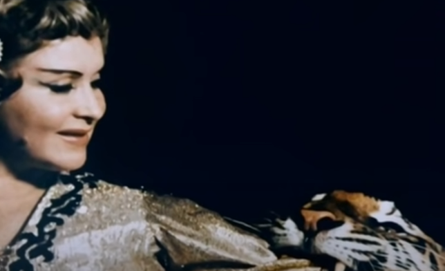 Маргарита Назарова на арене. Скриншот / youtube.com     | Epoch Times Россия