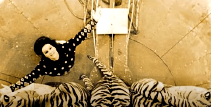 Маргарита Назарова с группой хищников