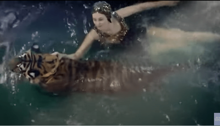 Водная феерия