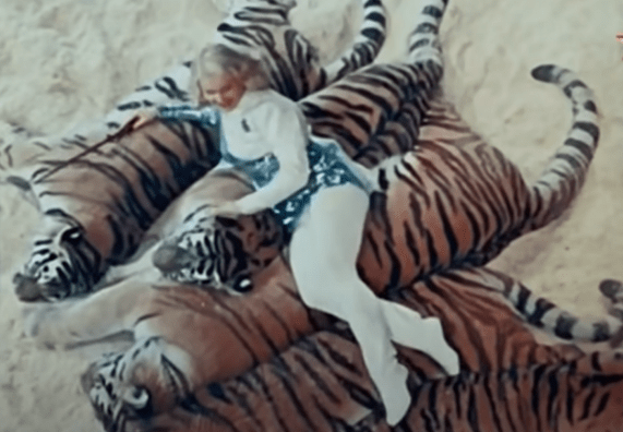 Маргарита Назарова с тиграми