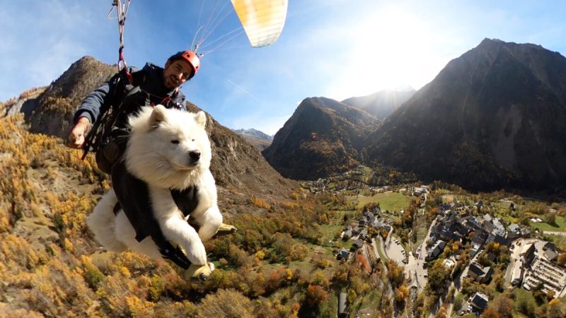 Фото любезно предоставлено Шамсом  | Epoch Times Россия
