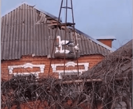 Один человек погиб и 7 ранены во время обстрела села в Белгородской области