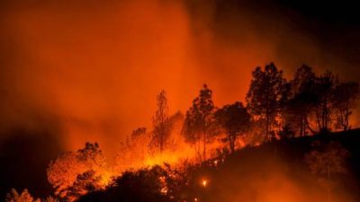 Пожары в Сибири подступили к красноярским сёлам