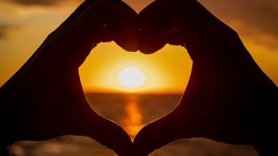 От чего зависит продолжительность жизни человека